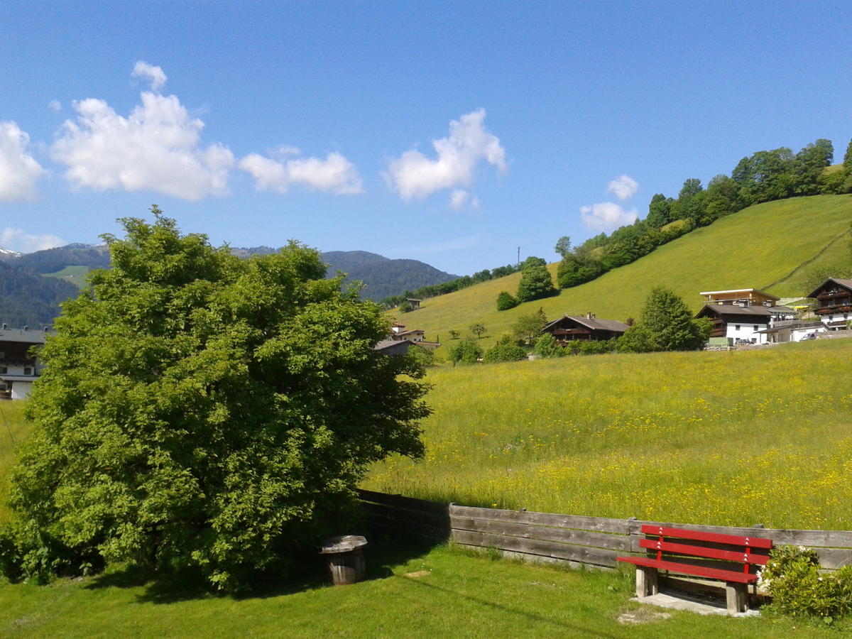 Pension Alpenstern Oberau Extérieur photo