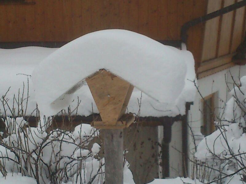 Pension Alpenstern Oberau Extérieur photo